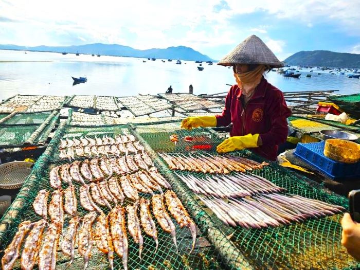 Cá khô bình thuận 1 nắng tại bãi biển.